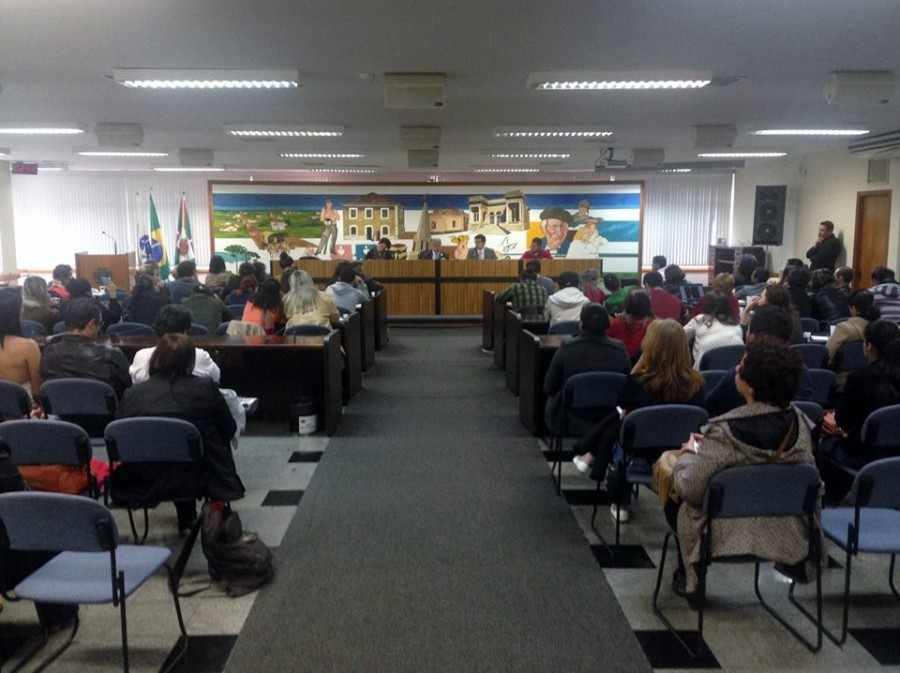 audiencia publica camara