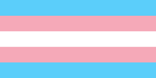 bandeira_trans